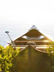 Transmigrated to the Transmigrated to the