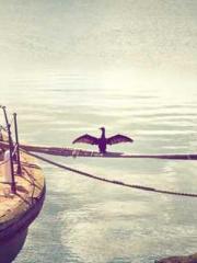 Become a big shot in Become a big shot in