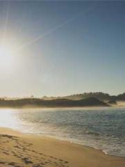 lt;lt;lt;lt;Good-loo lt;lt;lt;lt;Good-loo