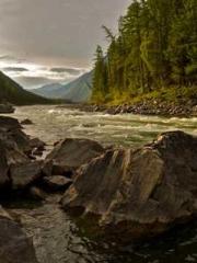 Saintly Gate Venerab