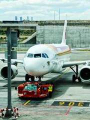 Eternal Sword Ancest