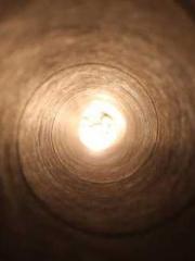 The Beloved Physicia The Beloved Physicia