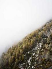 Cold-hearted Inkapos