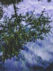 My seven stunning an