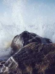 Rong Zhao, male, Nin