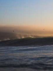 The Hardships of a D